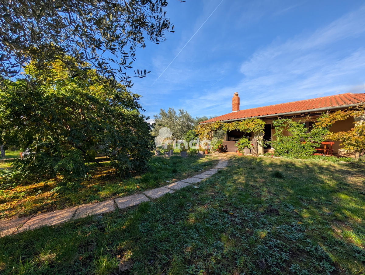 Velika posest na obrobju Rovinja - 125 m2 + (4550 m2)