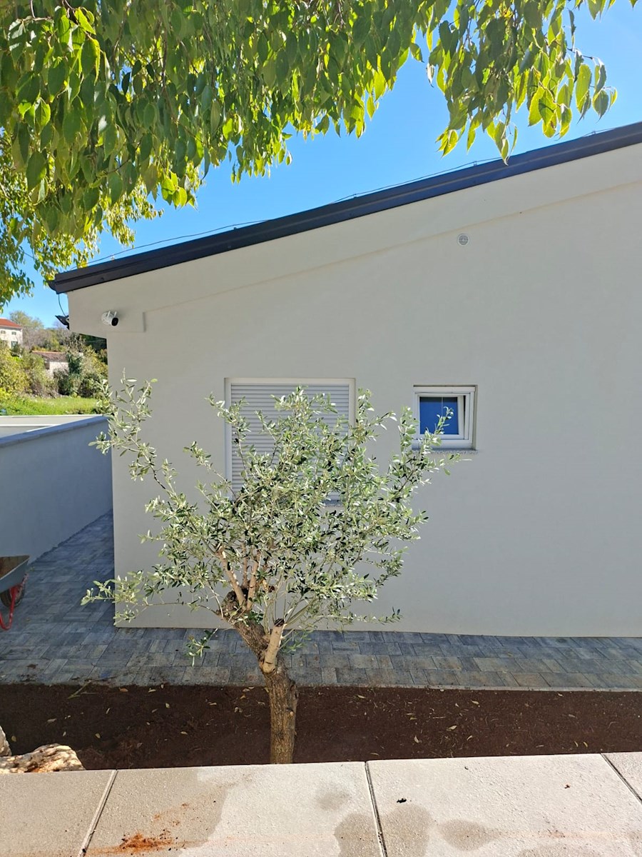 Istra, Rovinj – čudovita vila z bazenom, obdana z naravo