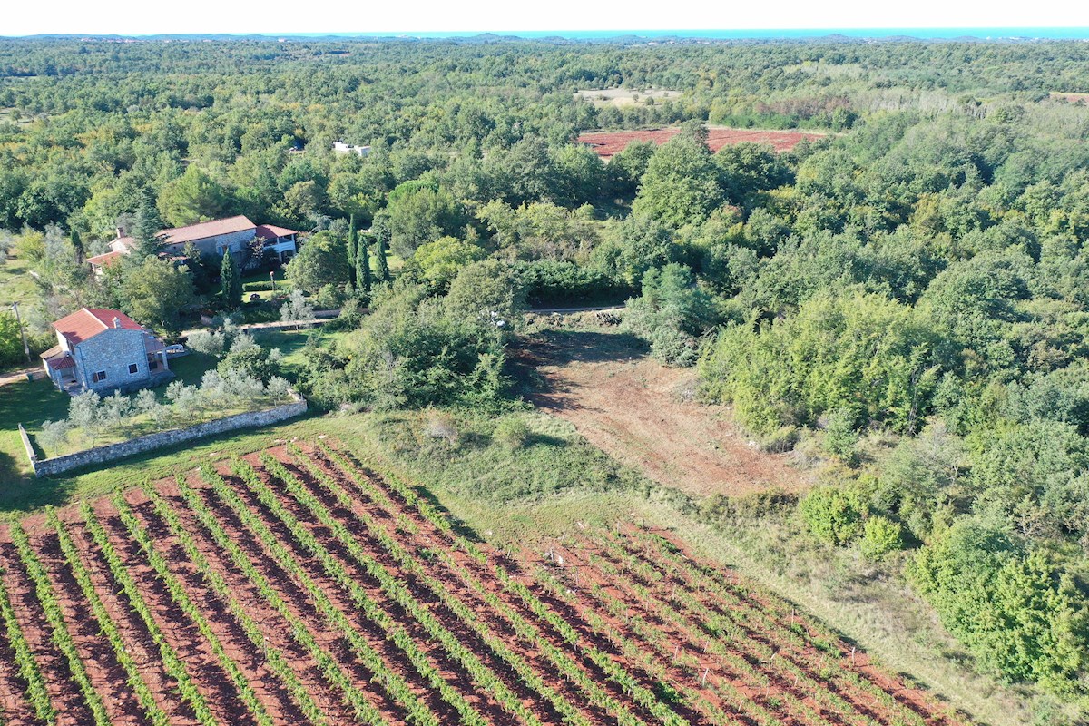 Istra, Poreč, gradbeno zemljišče v okolici Poreča