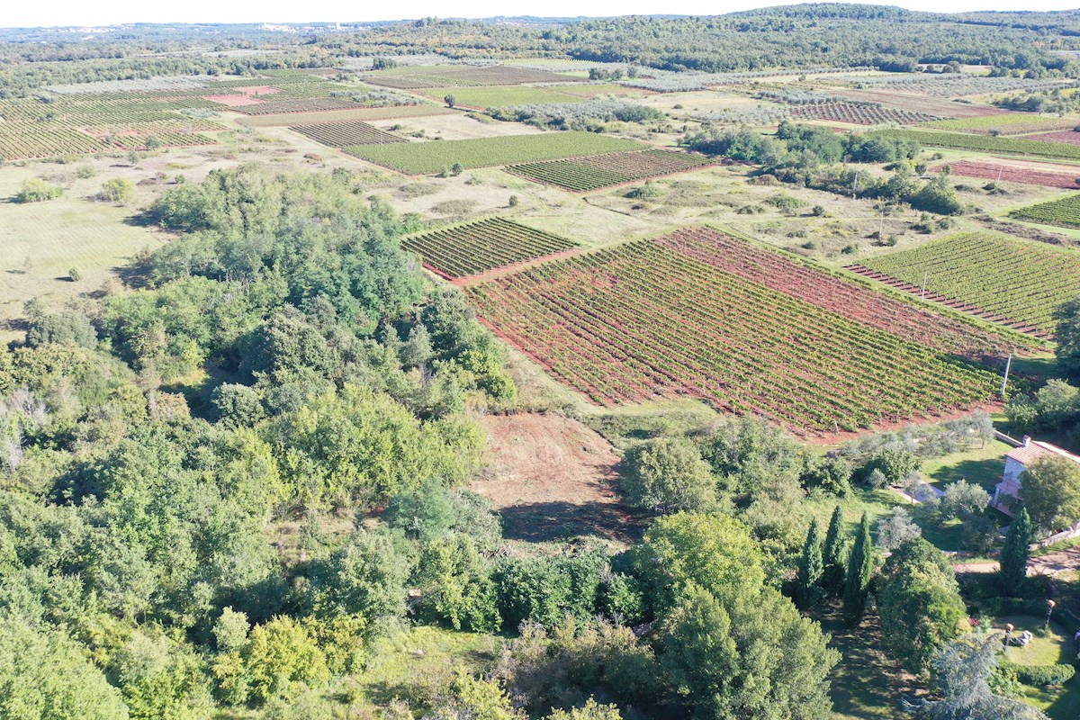 Istra, Poreč, gradbeno zemljišče v okolici Poreča