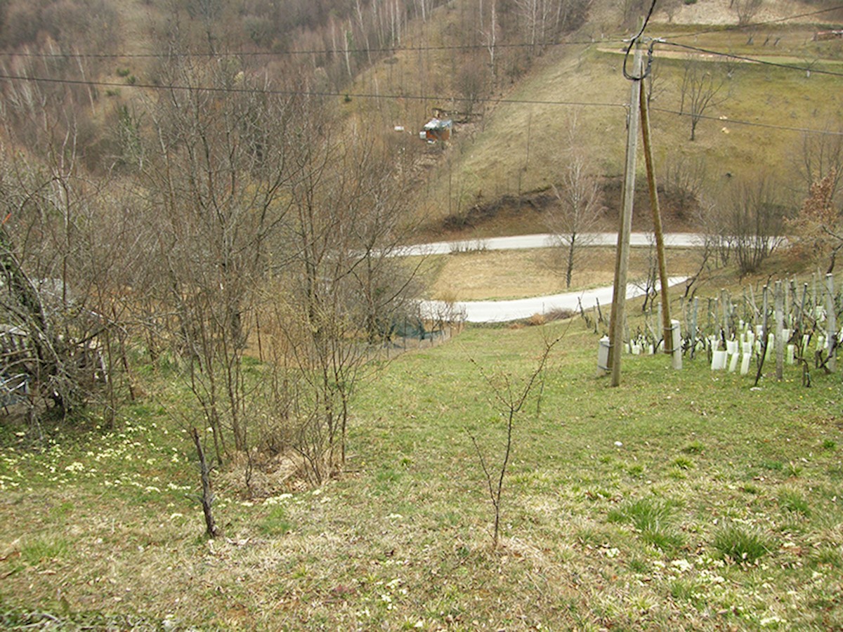 Vikend gradbišče v Slanem Dolu