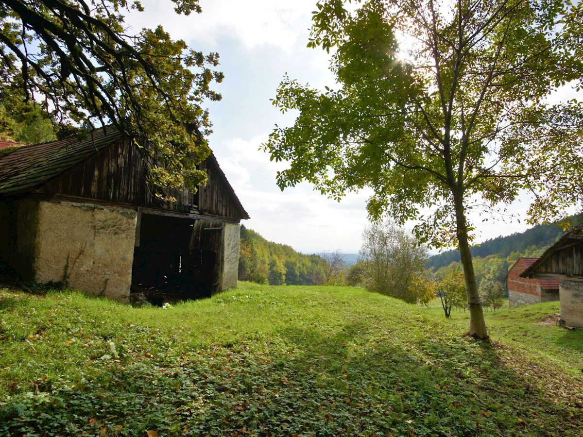 Kmetsko Posestvo na Plešivici