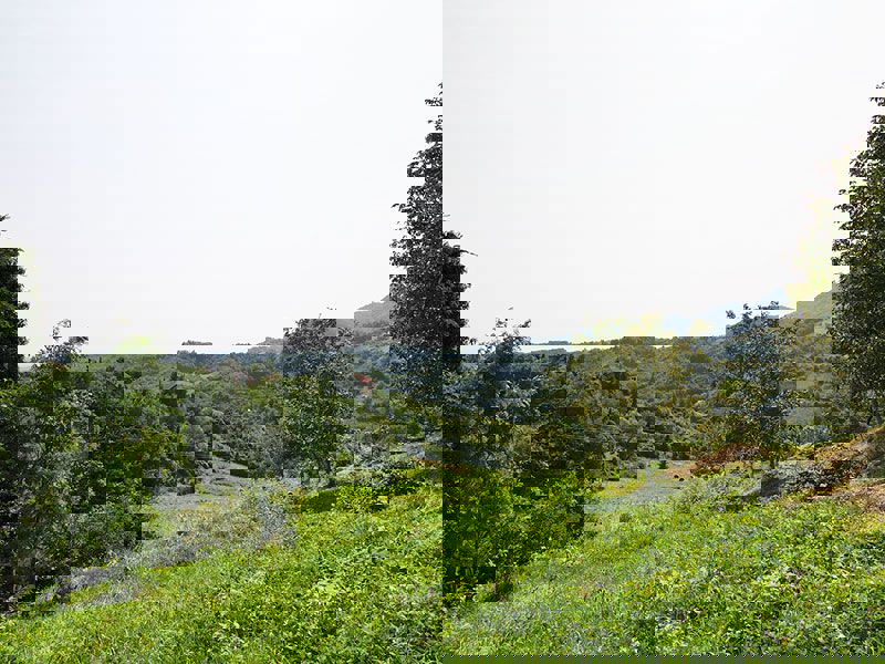 Zemljišče v Konščici - Samobor