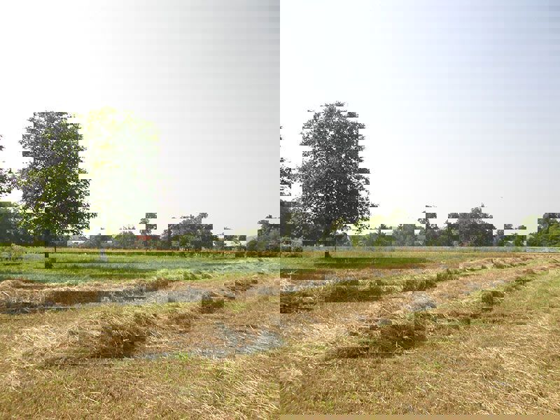 Polkmetijsko zemljišče v Celinah - Samobor