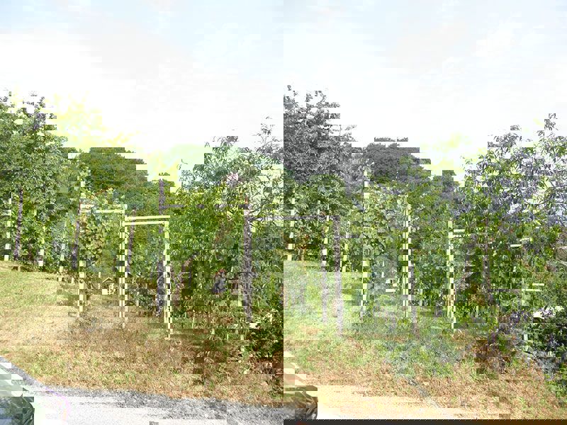 Zemljišče na Jelenščaku - Samobor