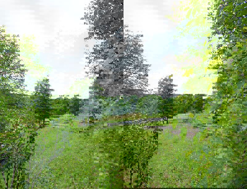 Zemljišče v Mali Rakovici - Samobor