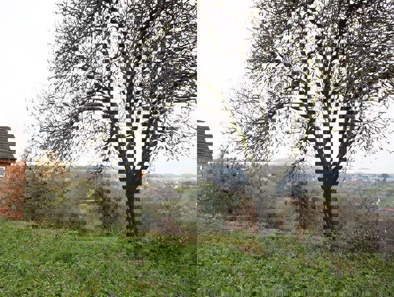 Zemljišče v Mali Rakovici - Samobor