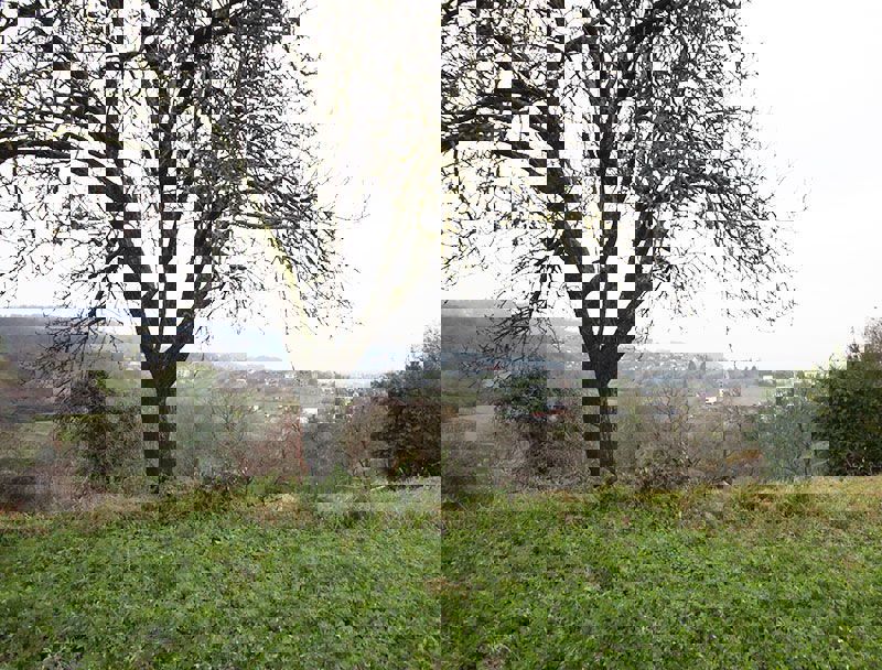 Zemljišče v Mali Rakovici - Samobor