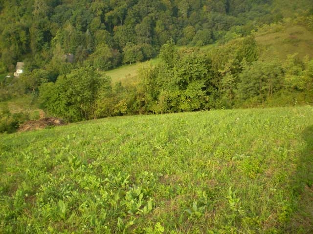 Kmetijsko zemljišče na Svetonedeljskem Bregu