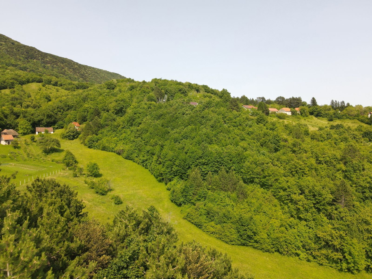Kmetsko Posestvo na Plešivici