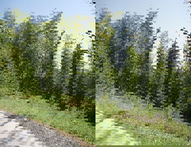 Gradbišče - Bregana