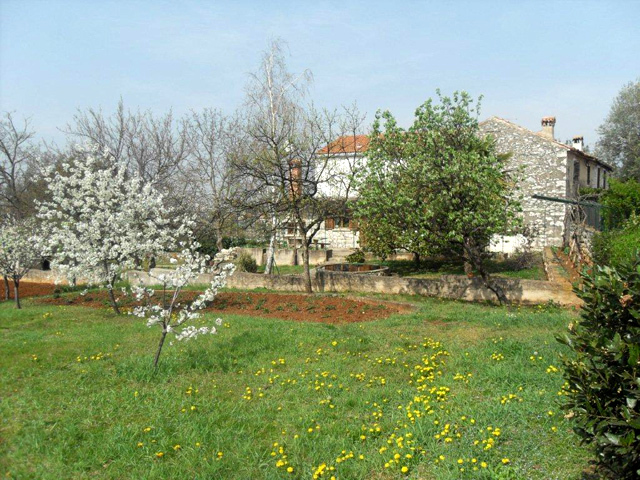 Zemljišče s staro kamnito hišo