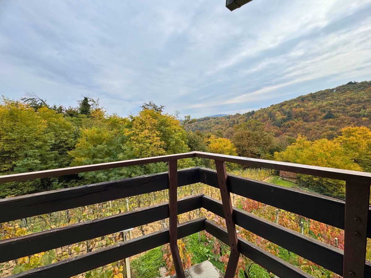 Vikend hiša z vinogradom v okolici Samobora