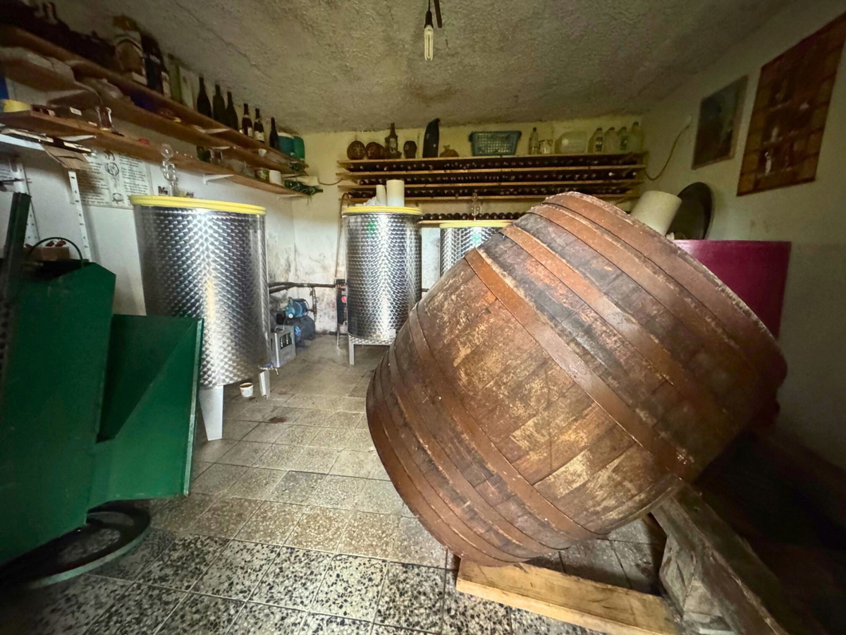 Vikend hiša z vinogradom v okolici Samobora