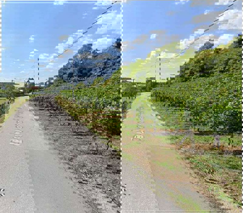 Gradbeno zemljišče - Sveta Jana