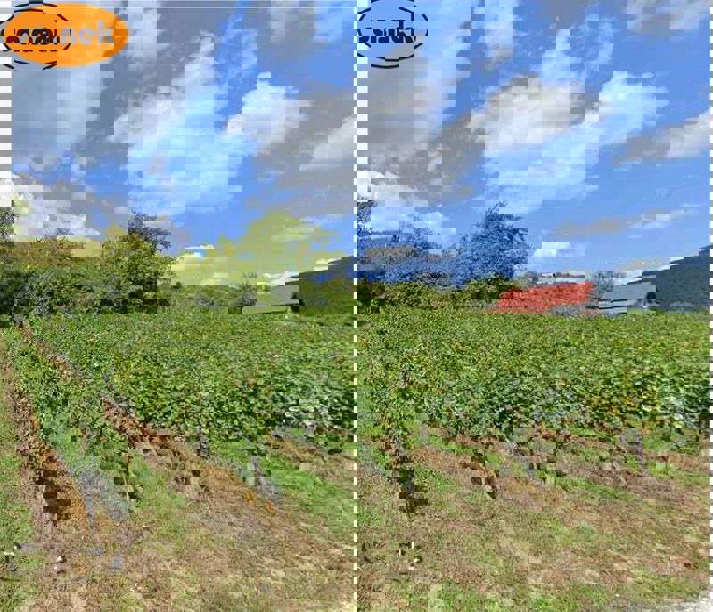 Gradbeno zemljišče - Sveta Jana