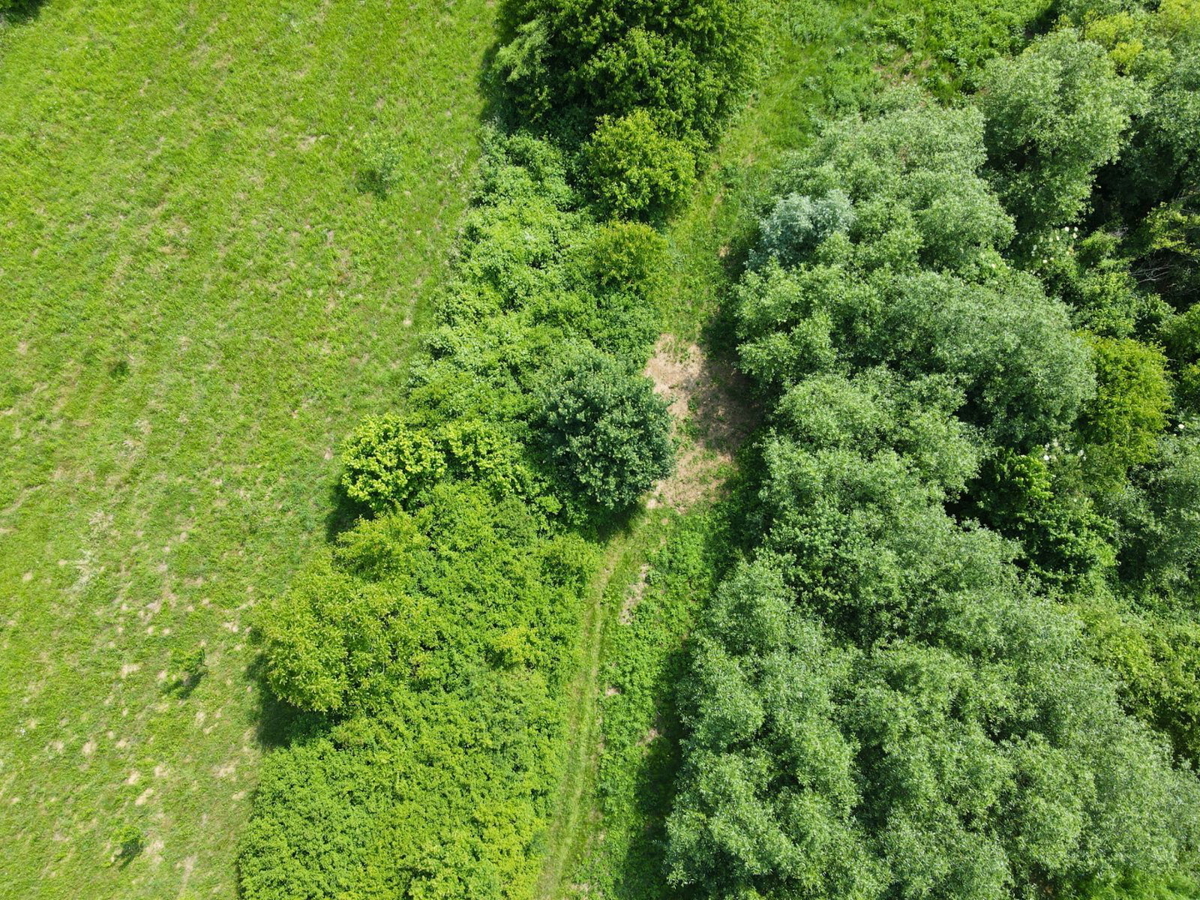 Kmetijsko zemljišče v Sveti Jani