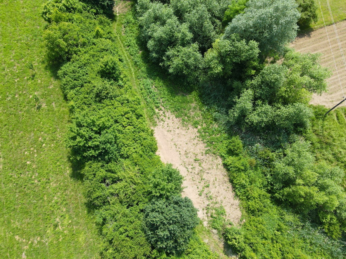 Kmetijsko zemljišče v Sveti Jani
