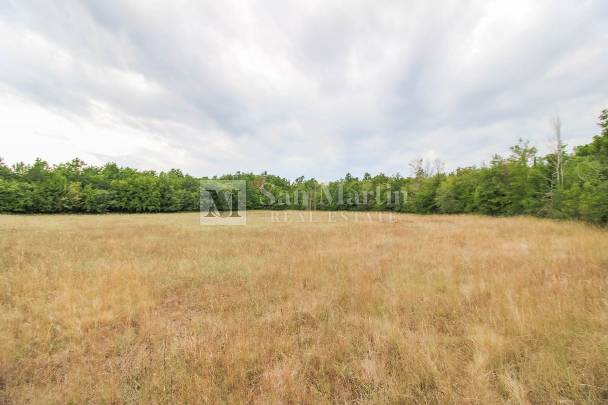 Poreč, okolica - Kmetijsko zemljišče 20.000 m2 ob cesti