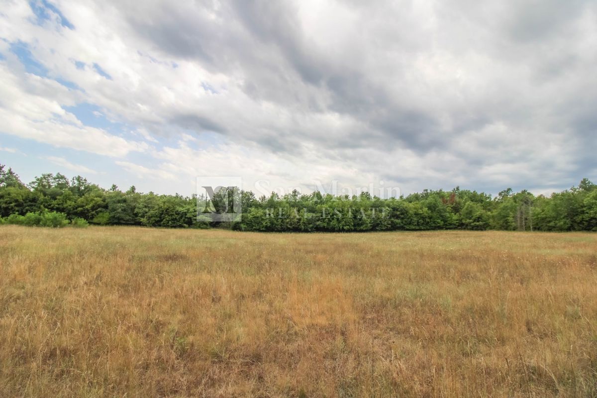 Poreč, okolica - Kmetijsko zemljišče 20.000 m2 ob cesti