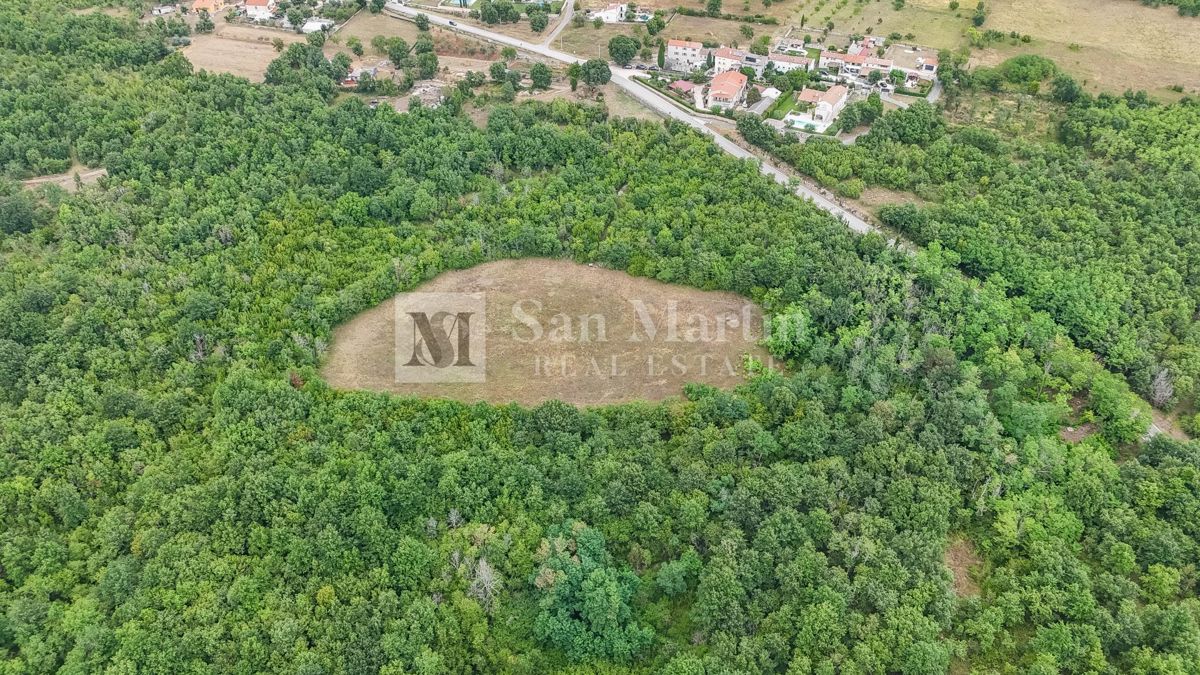Poreč, okolica - Kmetijsko zemljišče 20.000 m2 ob cesti