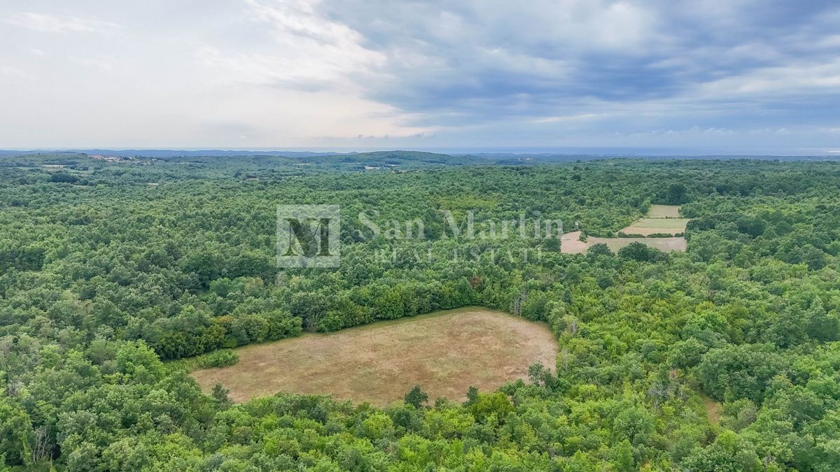 Poreč, okolica - Kmetijsko zemljišče 20.000 m2 ob cesti