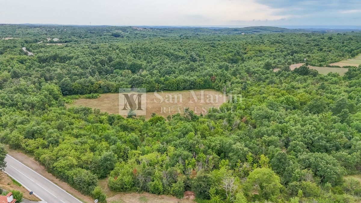 Poreč, okolica - Kmetijsko zemljišče 20.000 m2 ob cesti