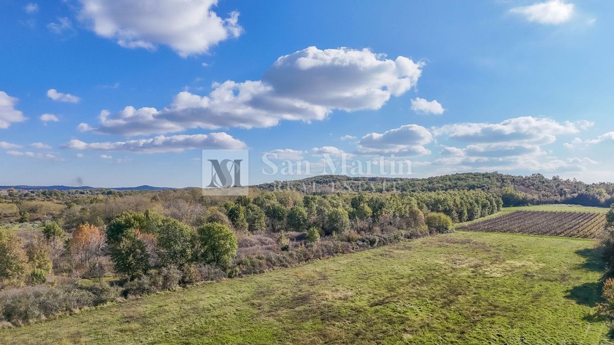 Poreč – Kmetijsko zemljišče 14.800 m²!!!