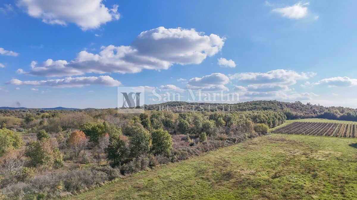 Poreč – Kmetijsko zemljišče 14.800 m²!!!