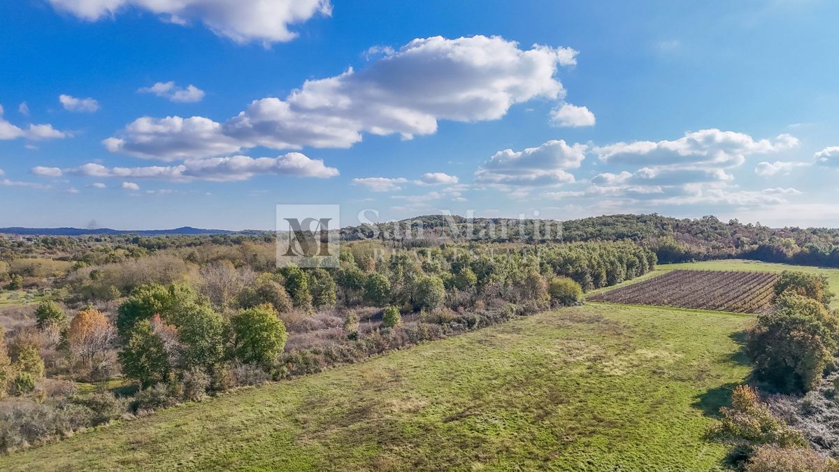 Poreč – Kmetijsko zemljišče 14.800 m²!!!