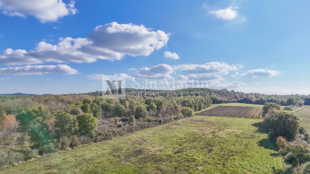 Poreč – Kmetijsko zemljišče 14.800 m²!!!