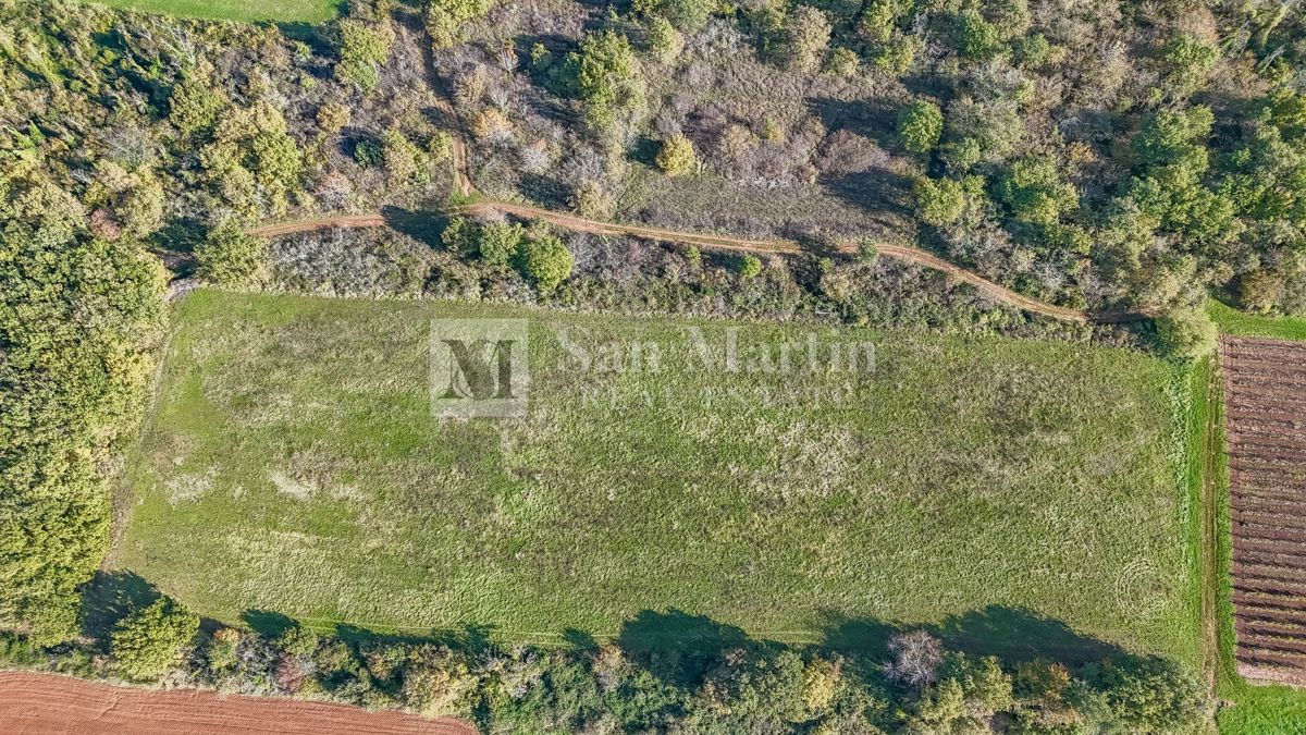 Poreč – Kmetijsko zemljišče 14.800 m²!!!