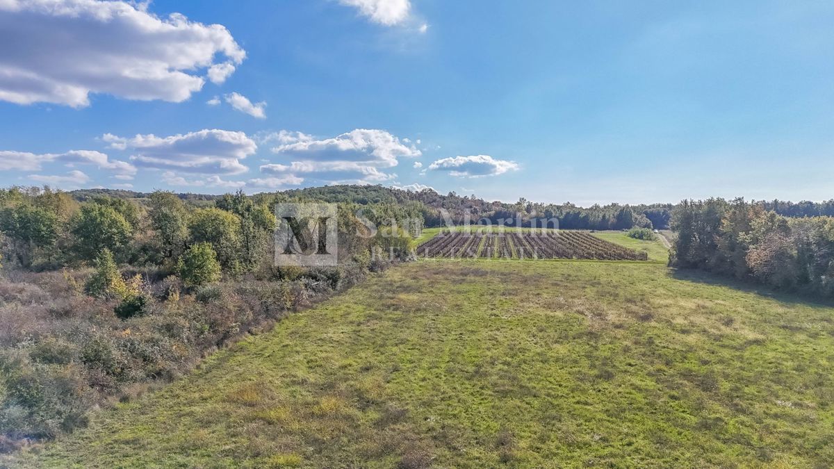 Poreč – Kmetijsko zemljišče 14.800 m²!!!