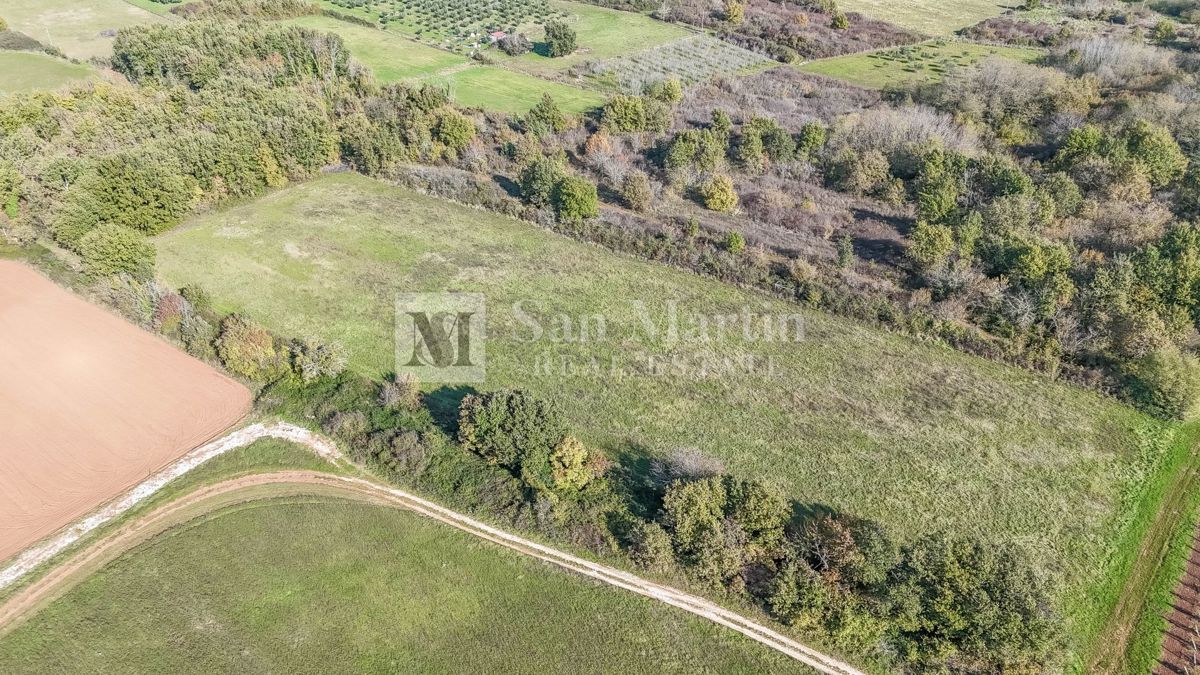 Poreč – Kmetijsko zemljišče 14.800 m²!!!
