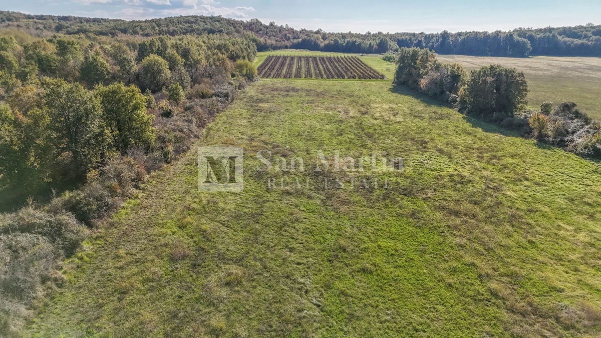 Poreč – Kmetijsko zemljišče 14.800 m²!!!