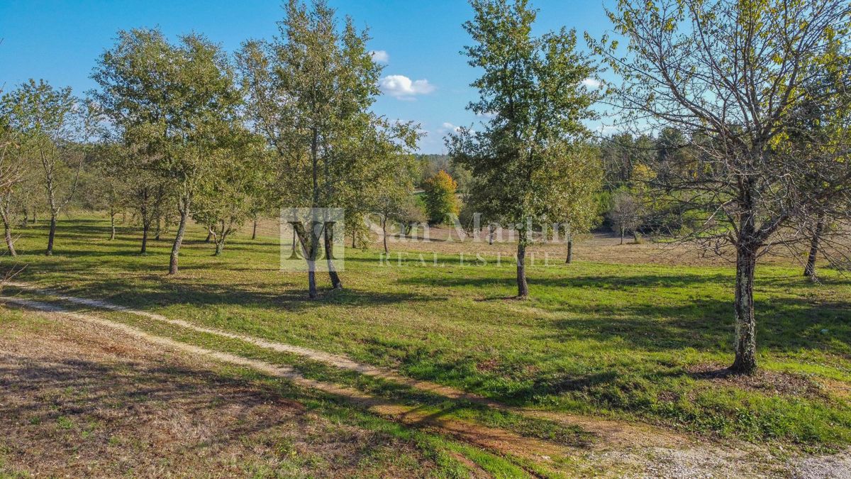 Višnjan, okolica - gradbena parcela na lepi lokaciji