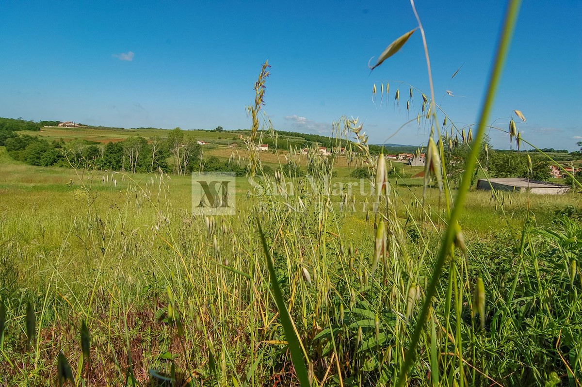 Poreč - okolica, gradbeno zemljišče z razgledom