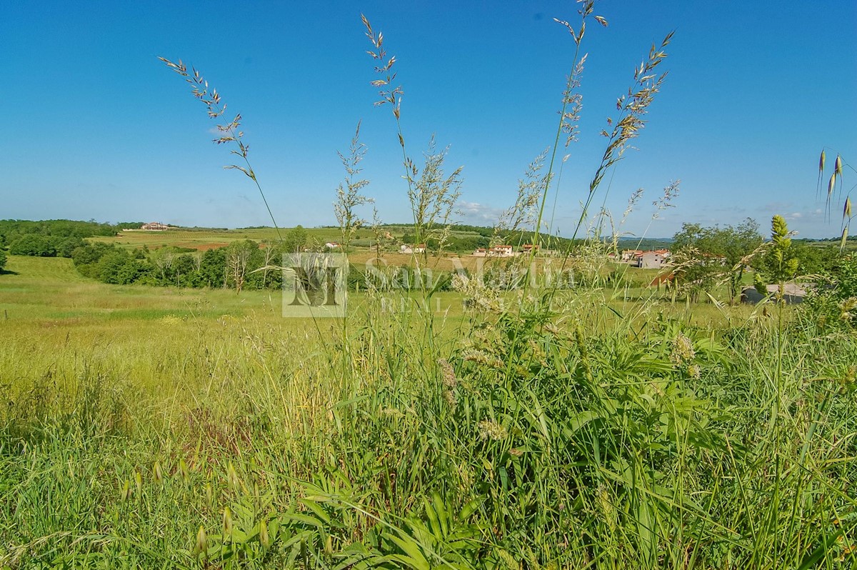 Poreč - okolica, gradbeno zemljišče z razgledom