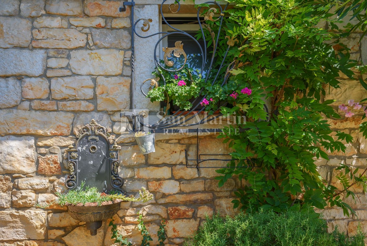 Poreč, okolica - istrska lepotica v zeleni oazi