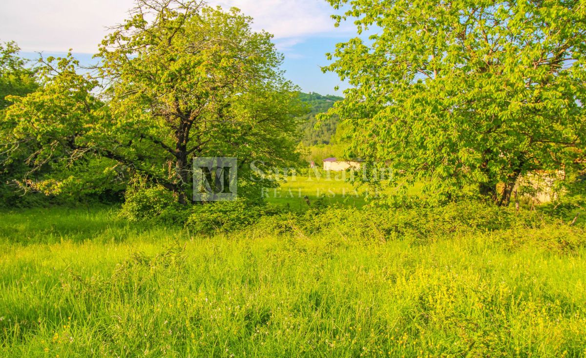 Poreč-okolica, lepo gradbeno zemljišče