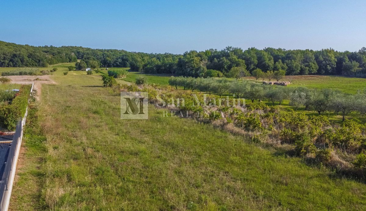 Poreč, okolica – prekrasna zazidljiva parcela v bližini Poreča
