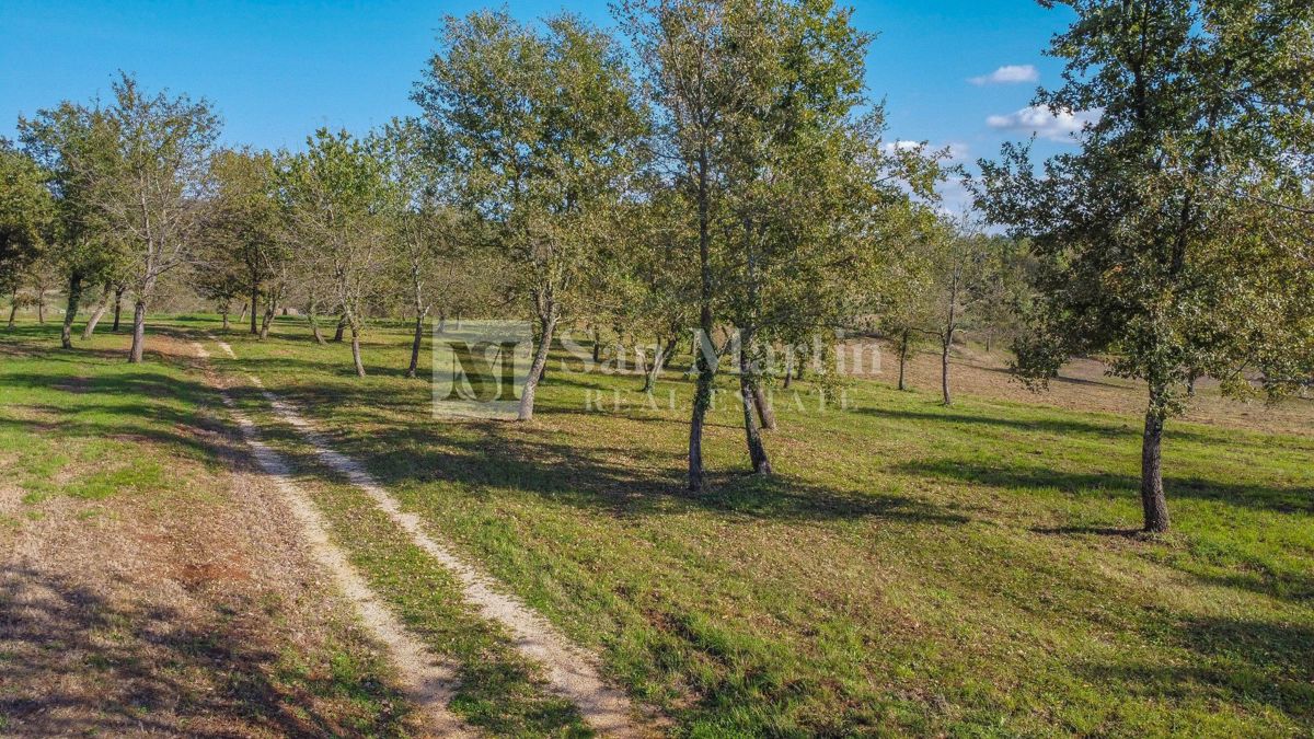 Višnjan, okolica - lepo gradbeno zemljišče