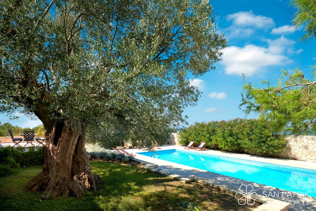 AVTOHTONA VILA MED TISOČLETNIMI OLJKAMI NA OTOKU PAG