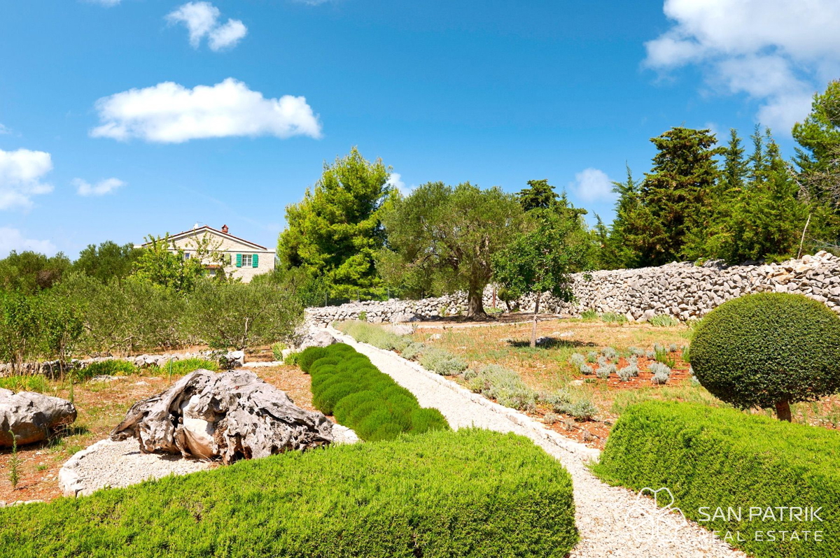 AVTOHTONA VILA MED TISOČLETNIMI OLJKAMI NA OTOKU PAG