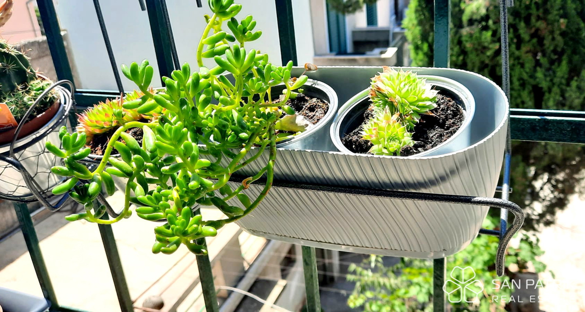 Center Šibenika, dvosobno stanovanje z balkonom in pogledom na kanal