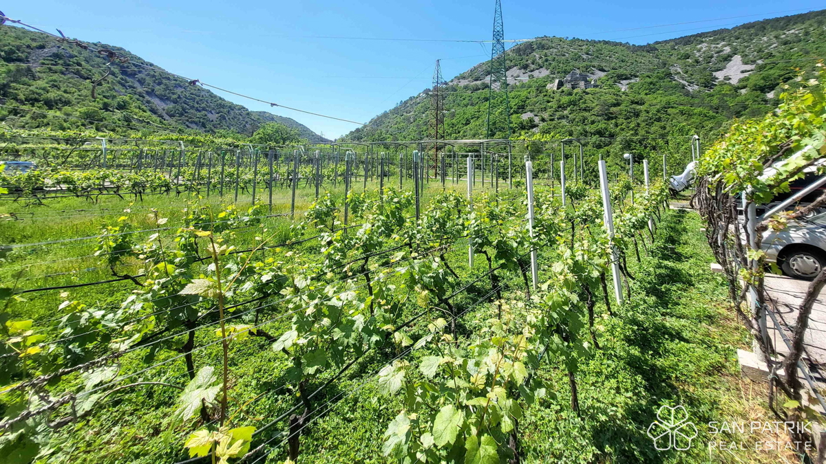 Crikvenica, okolica – Tovarna kave, opremljena in pripravljena za obratovanje