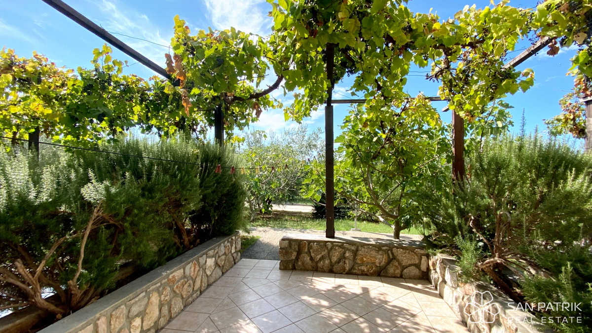 Otok Cres: hotel s 4 zvezdicami z utečenim poslovanjem – investicijska priložnost