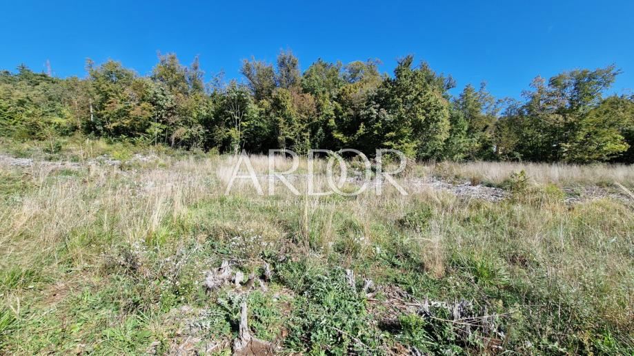 Zemljišče Čavle, 5.292m2