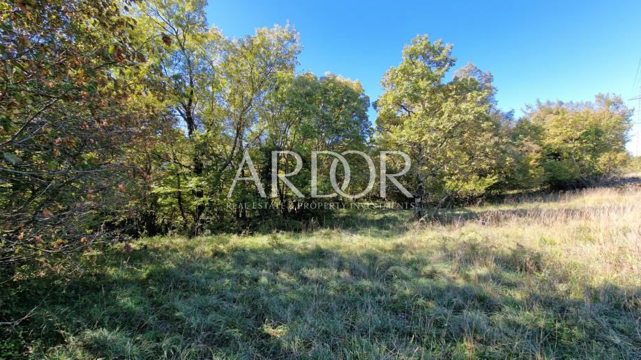 Zemljišče Čavle, 5.292m2