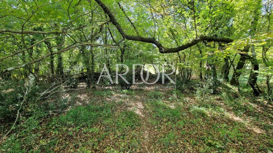 Zemljišče Čavle, 5.292m2